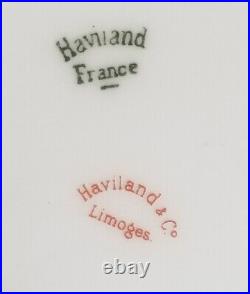 (9) Haviland Limoges Schleiger 52B Dinner Plates 9.5 Blue Flowers Ferns Gold