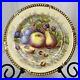 AYNSLEY-ORCHARD-FRUIT-N-Brunt-Dinner-Plate-Gold-Beaded-Gadroon-Signed-England-01-na