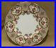 Antique-Cauldon-England-Hand-Painted-Floral-Raised-Gold-Porcelain-Plate-Z960-01-ztyr