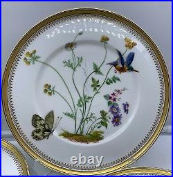 Antique Fine Eggshell Aesthetic Butterfly Hummingbird Flora Plate Gold Set 5