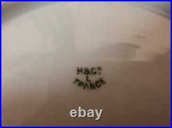 Antique H&C L France Hand Painted Plates Raised Gold Floral 1896 Porcelaine