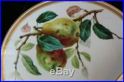 Antique Set 4 Minton Hand Pained Still Alive Fruits Gold Rim Dinner Plates