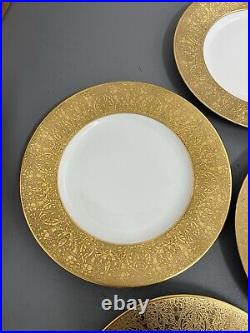 Bavaria Hutschenreuther Selb Dinner Plates 12 + Gold Trim Case 10 3/4 FLAWED