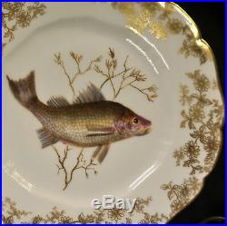 CFH/GDM Haviland Limoges Set 6 Fish Plates 9 1/8 Hand Painted withGold 1882-1890