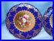 COALPORT-England-SET-OF-12-9-plates-Cobalt-and-Gold-borders-with-flowers-01-oduk