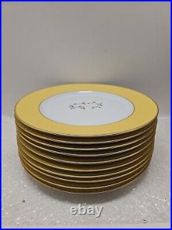 Cathy Waterman dinner plates? Lot of 10pc 10.5 inch yellow gold