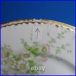 Ch Field Haviland GDA Limoges Double Gold Flowers 12 Dinner Plates 9¾ inches