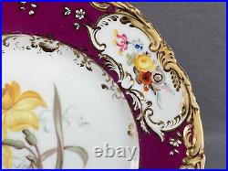 Coalport Hand Painted Botanical Floral Cranberry & Gold 9 1/4 Inch Plate A