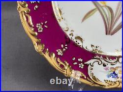 Coalport Hand Painted Botanical Floral Cranberry & Gold 9 1/4 Inch Plate A