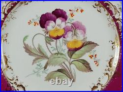 Coalport Hand Painted Botanical Floral Cranberry & Gold 9 1/4 Inch Plate D