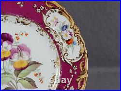 Coalport Hand Painted Botanical Floral Cranberry & Gold 9 1/4 Inch Plate D