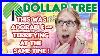 Come-With-Me-To-Dollar-Tree-This-New-Find-Terrified-Me-Shop-With-Me-Let-S-Find-All-New-1-25-Items-01-rjn