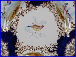 Copeland Spode Hand Painted Birds Cobalt & Gold Reticulated 9 3/8 Inch Plate F