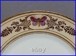 Darte Old Paris Hand Painted Floral Butterflies Cream & Gold 9 1/8 Inch Plate F