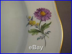 Dinner Plate Colorful flower Meissen Porcelain Germany gold rim- free shipping