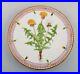 Dinner-plate-in-Flora-Danica-style-Hand-painted-flowers-and-gold-decoration-01-xwb