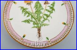 Dinner plate in Flora Danica style. Hand-painted flowers and gold decoration