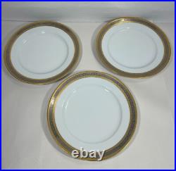 Dw Porzellan Karlsbader Wertarbeit Germany Set 6 Gold Dinner Plates Platinum Dw Porzellan Karlsbader Wertarbeit Germany Set 6 Gold Dinner Plates Platinum