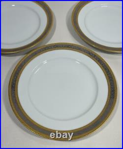Dw Porzellan Karlsbader Wertarbeit Germany Set 6 Gold Dinner Plates Platinum Dw Porzellan Karlsbader Wertarbeit Germany Set 6 Gold Dinner Plates Platinum