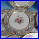 Elite-Limoges-Colorful-Flowers-and-Gold-10-Cabinet-Dinner-Plates-10-inch-01-bd
