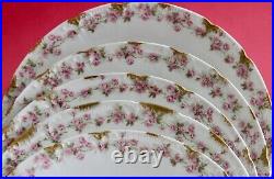 GDA Limoges Porcelain Plates 6 Dinner + 6 Salad Plates Pink Roses Gold Daubs