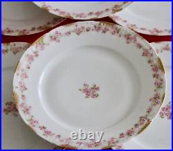 GDA Limoges Porcelain Plates 6 Dinner + 6 Salad Plates Pink Roses Gold Daubs