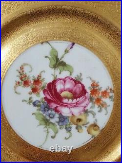 H&Co Bavaria Gold Encrusted and Flowers Set of 12 Dinner Plates-10.5