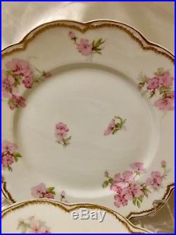Haviland Limoges France set 8 Gorgeous Dinner Plates Pink Flowers Double Gold
