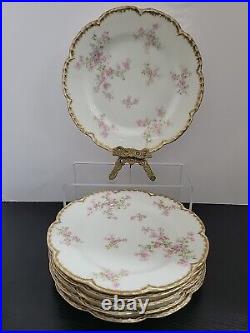 Haviland Limoges Schleiger 29 K DINNER Plate Gold white pink 9 3/4 in (Set of 6)