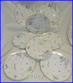 Haviland Montmery 8 Dinner Plates -Forget Me Nots -Blue Gold Trim