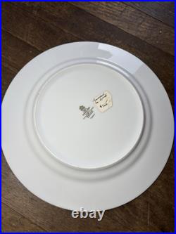 Haviland Tambour Plate 10.5 Inches new