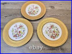 Heinrich & Co SelbBavaria Gold ENCRUSTED FloralDinner PLATES 11set Of 3 Plates