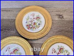 Heinrich & Co SelbBavaria Gold ENCRUSTED FloralDinner PLATES 11set Of 3 Plates