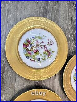 Heinrich & Co SelbBavaria Gold ENCRUSTED FloralDinner PLATES 11set Of 3 Plates