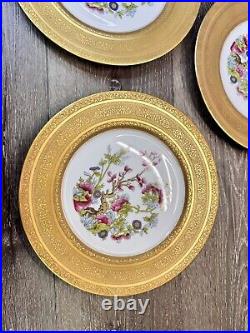 Heinrich & Co SelbBavaria Gold ENCRUSTED FloralDinner PLATES 11set Of 3 Plates