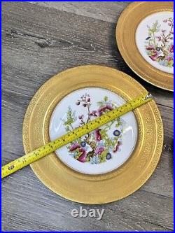 Heinrich & Co SelbBavaria Gold ENCRUSTED FloralDinner PLATES 11set Of 3 Plates