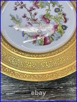 Heinrich & Co SelbBavaria Gold ENCRUSTED FloralDinner PLATES 11set Of 3 Plates