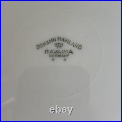 Johan Haviland -Sepia Rose -Dinnerware-Vintage-8 Place Settings + Serving