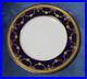 Lenox-Raised-Gold-Encrusted-Cobalt-Dinner-Plate-10-1830-b-10-Dish-Clean-Shape-01-fg