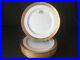 Lenox-Westchester-M139-Dinner-Plates-Monogramed-Gold-Encrusted-Antique-Set-of-9-01-sip