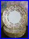 Limoges-Elite-France-Hand-Painted-Set-Of-6-Dinner-Luncheon-Plate-Roses-Gold-01-aqau