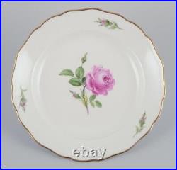 Meissen, Germany. A set of five Pink Rose deep dinner plates