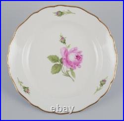 Meissen, Germany. A set of five Pink Rose deep dinner plates