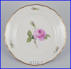 Meissen, Germany. A set of five Pink Rose deep dinner plates