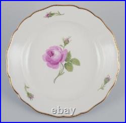 Meissen, Germany. A set of five Pink Rose deep dinner plates