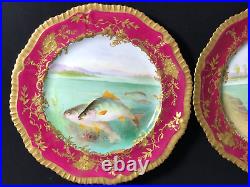 Ovington Brothers New York Gold Red Trim Painted Fish Trout Dinner Plates 9.5