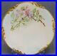 Pair-of-JP-Limoges-Hand-Painted-Pink-Wild-Rose-Gold-9-3-4-Inch-Dinner-Plates-01-sba