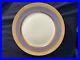 ROSENTHAL-Blue-Gold-Dinner-Plates-Set-of-8-Daisy-Rose-Pattern-10-3-4-inches-01-lgea