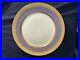 ROSENTHAL-Blue-Gold-Dinner-Plates-Set-of-8-Daisy-Rose-Pattern-10-3-4-inches-01-ohn