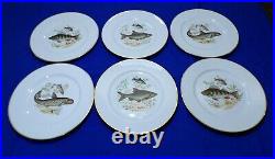 ROSENTHAL GERMANY SET OF 6 OCEAN FISH ART DINNER PLATES With GOLD TRIM 10.25 DIA